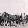 Large teams of horses were needed to do the plowing, seeding and harvesting from 1903 to the 1930s.