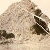 An unidentified man stacks hay on the Kerbes farm south of Stettler, Alberta.