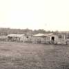 A panoramic shot of a typical Estonian farm north of Eckville, Alberta during the first half of the 20th century. The construction of barns and farmhouses was simplified by the abundance of pine and spruce trees present in the area.